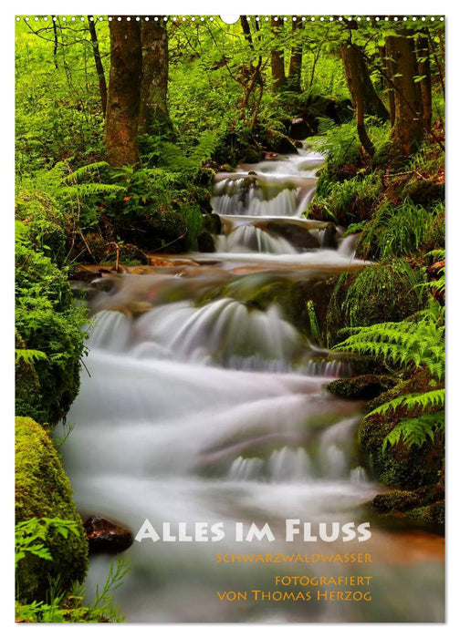 Alles im Fluss - Schwarzwaldwasser (CALVENDO Wandkalender 2025)