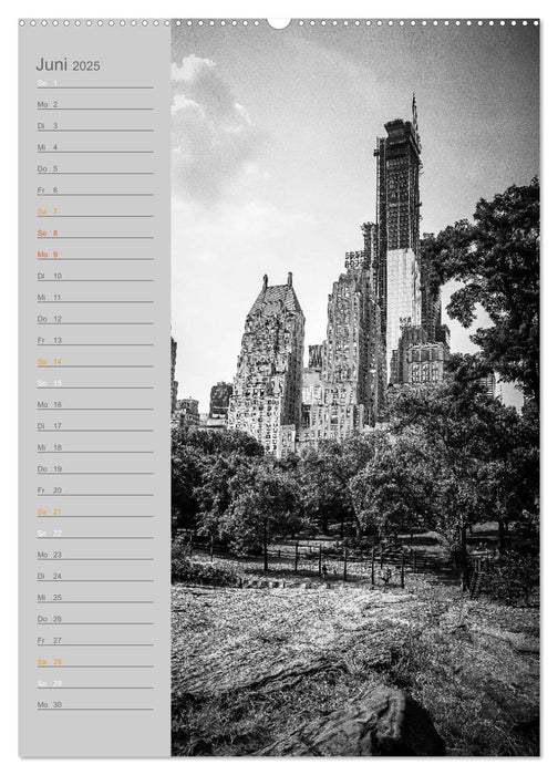 New York Vertical (CALVENDO Premium Wandkalender 2025)