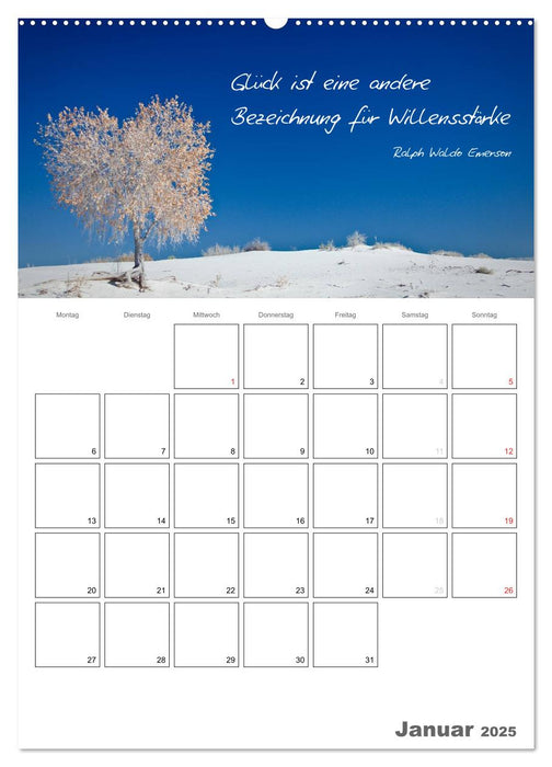 Weises zum Nachdenken (CALVENDO Premium Wandkalender 2025)