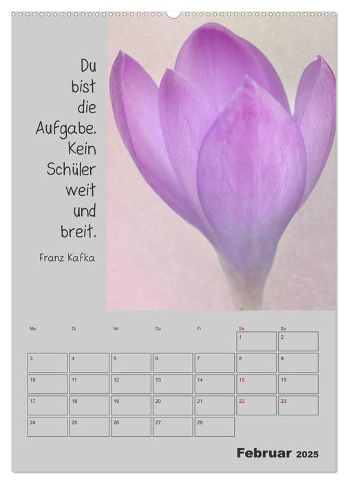 Motivationshilfe (CALVENDO Premium Wandkalender 2025)