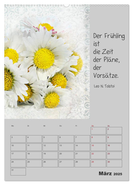 Motivationshilfe (CALVENDO Premium Wandkalender 2025)