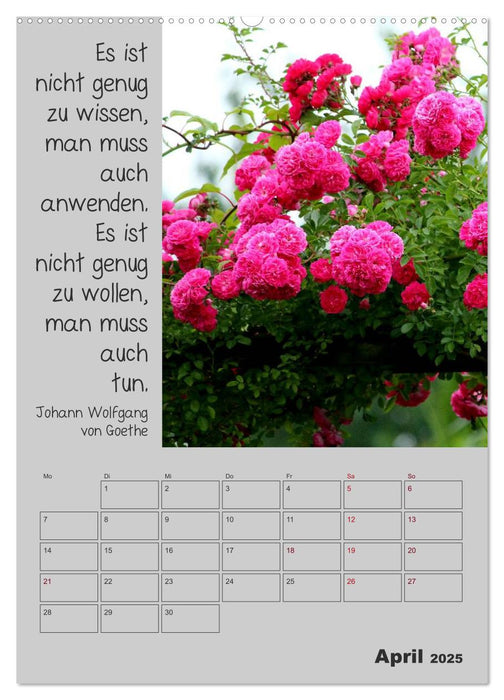 Motivationshilfe (CALVENDO Premium Wandkalender 2025)