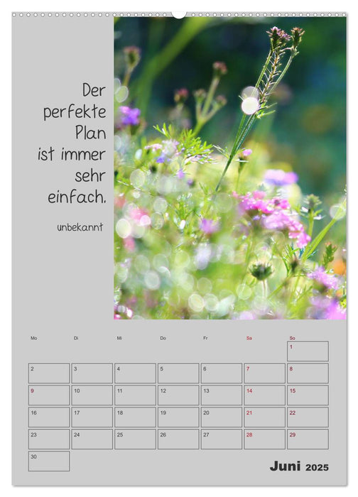 Motivationshilfe (CALVENDO Premium Wandkalender 2025)