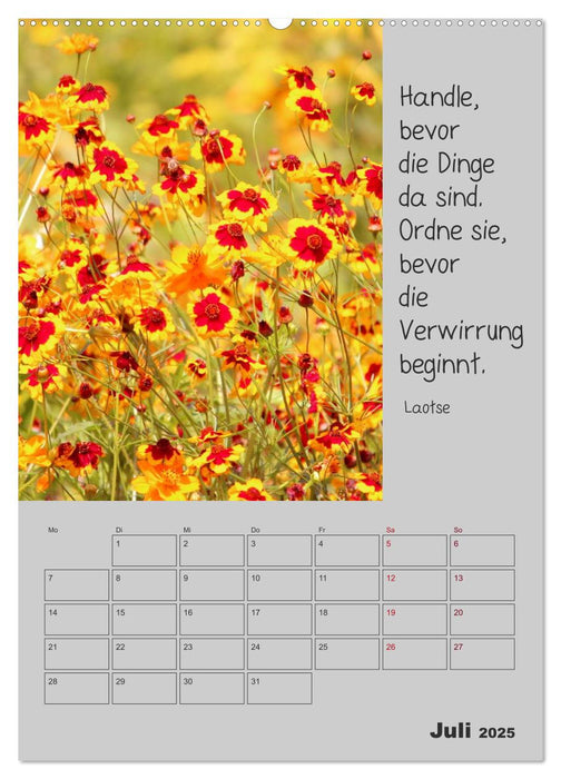 Motivationshilfe (CALVENDO Premium Wandkalender 2025)