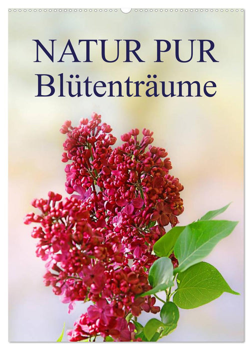 NATUR PUR Blütenträume (CALVENDO Wandkalender 2025)