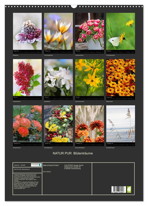NATUR PUR Blütenträume (CALVENDO Wandkalender 2025)