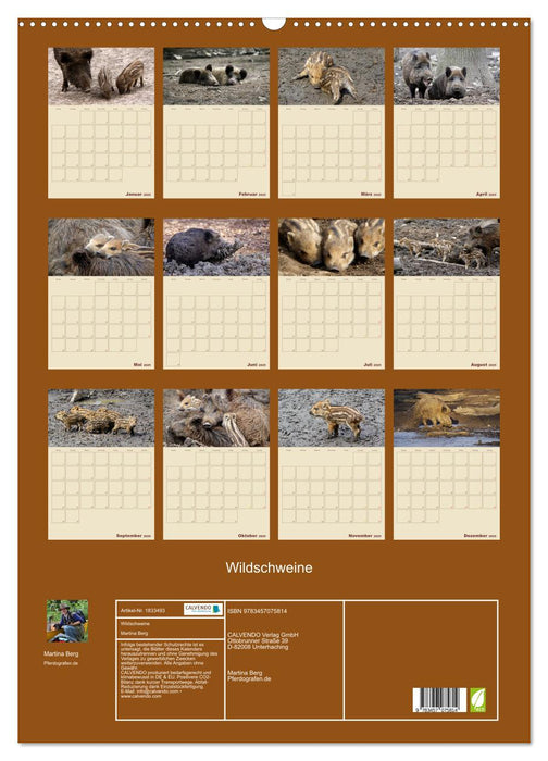 Wildschweine (CALVENDO Wandkalender 2025)