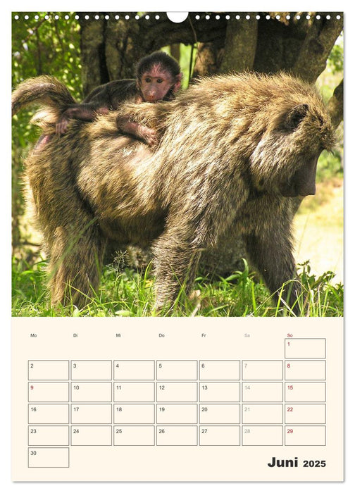 Kenia – Terminplaner (CALVENDO Wandkalender 2025)