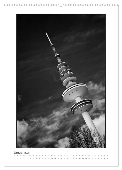 Hamburg Vertical (CALVENDO Wandkalender 2025)