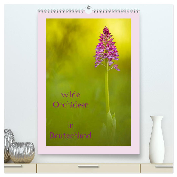 wilde Orchideen in Deutschland (CALVENDO Premium Wandkalender 2025)