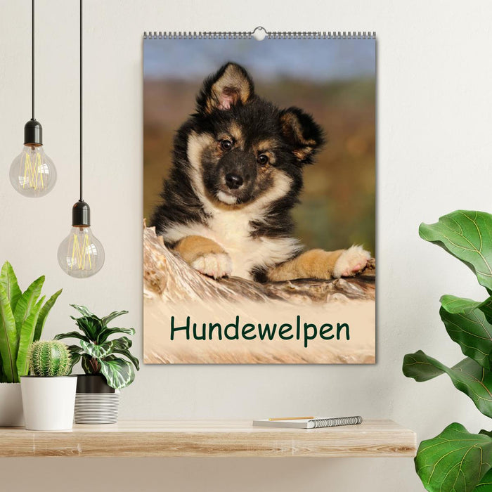 Hundewelpen (CALVENDO Wandkalender 2025)