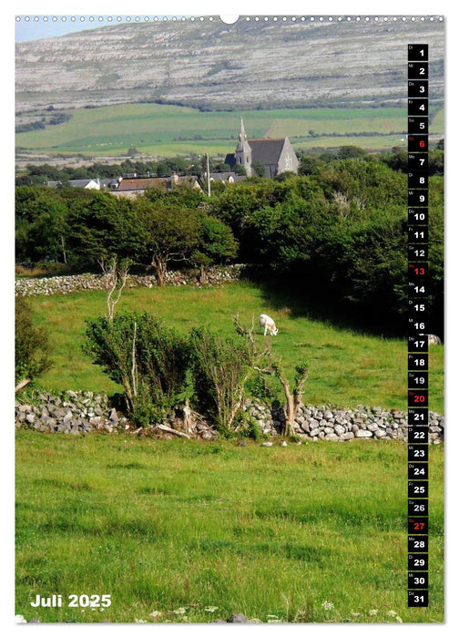 Traumhaftes Irland (CALVENDO Premium Wandkalender 2025)