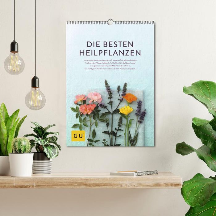 Die besten Heilpflanzen (CALVENDO Wandkalender 2025)