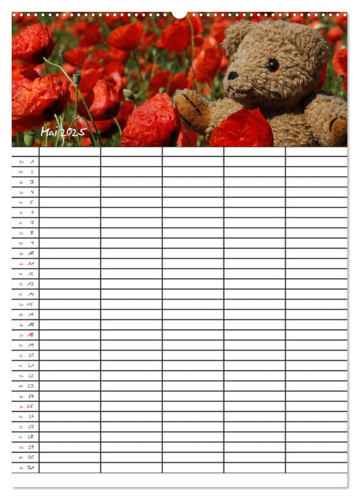 Der Teddybären-Familienplaner (CALVENDO Premium Wandkalender 2025)