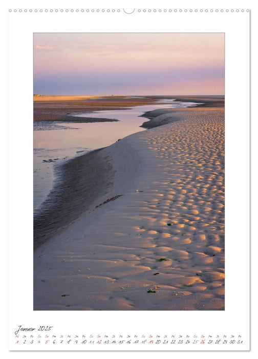 Insel Amrum (CALVENDO Premium Wandkalender 2025)