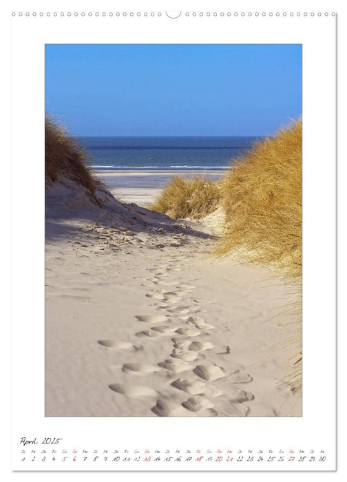 Insel Amrum (CALVENDO Premium Wandkalender 2025)