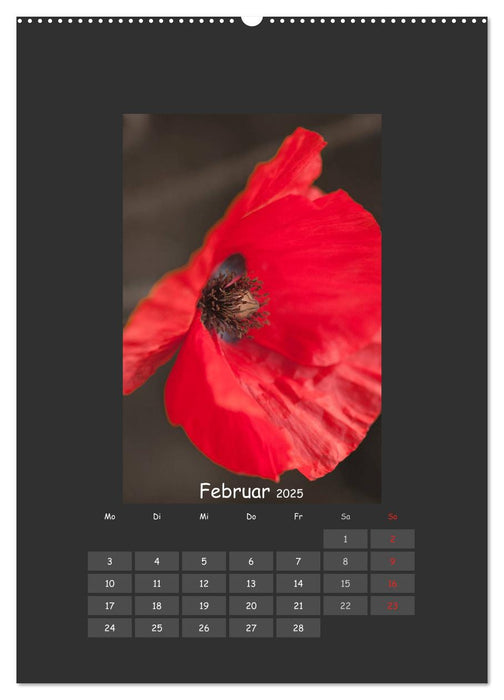 Mohn (CALVENDO Premium Wandkalender 2025)