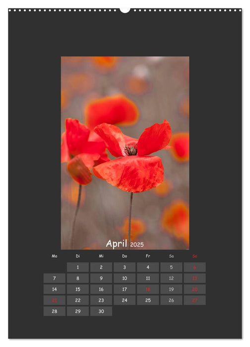 Mohn (CALVENDO Premium Wandkalender 2025)