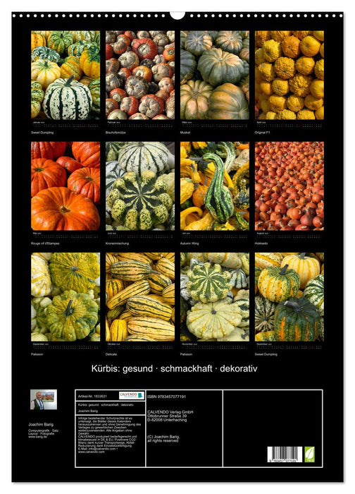 Kürbis: gesund · schmackhaft · dekorativ (CALVENDO Wandkalender 2025)