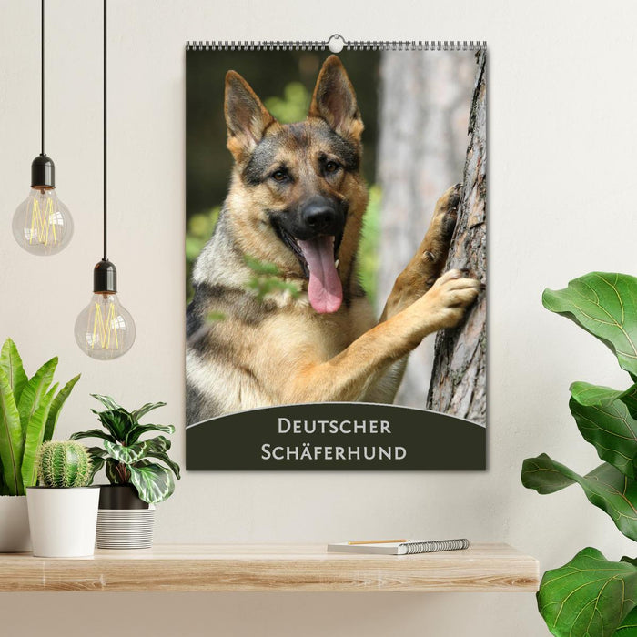 Deutscher Schäferhund (CALVENDO Wandkalender 2025)