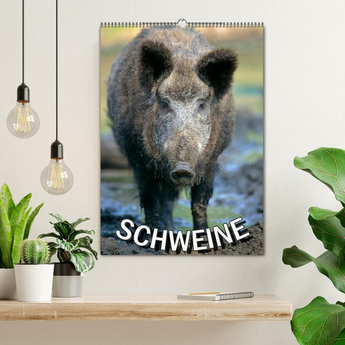 Schweine 2025 (CALVENDO Wandkalender 2025)