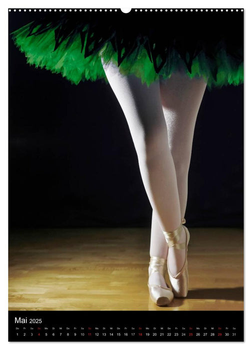 Ballett (CH-Version) (CALVENDO Wandkalender 2025)