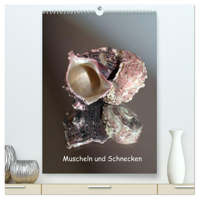 Muscheln und Schnecken (CALVENDO Premium Wandkalender 2025)