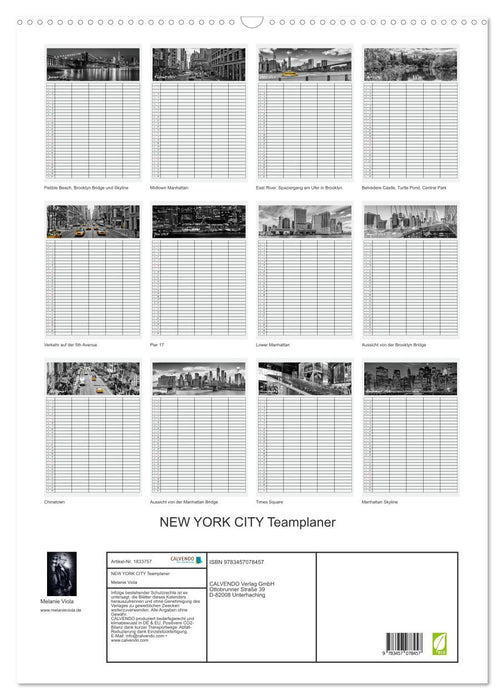 NEW YORK CITY Teamplaner (CALVENDO Wandkalender 2025)