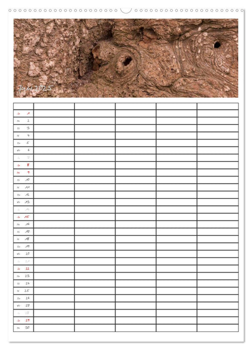 Baumrinden (CALVENDO Premium Wandkalender 2025)