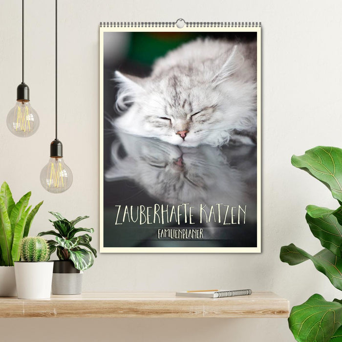 Zauberhafte Katzen - Familienplaner (CALVENDO Wandkalender 2025)