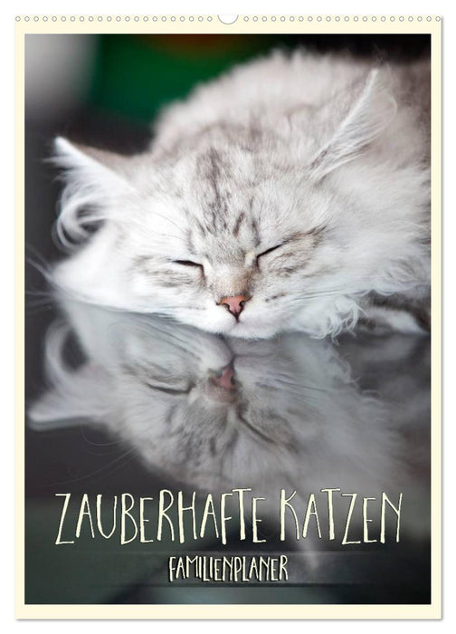 Zauberhafte Katzen - Familienplaner (CALVENDO Wandkalender 2025)