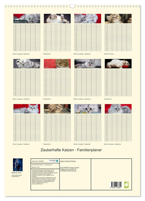 Zauberhafte Katzen - Familienplaner (CALVENDO Wandkalender 2025)