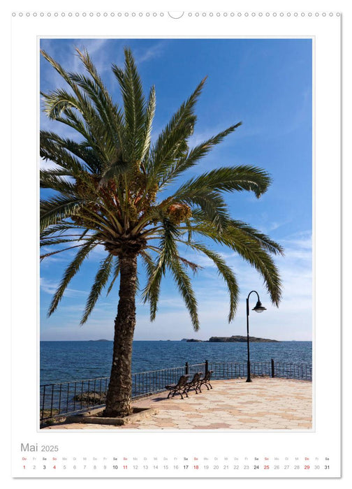 Ibiza und Formentera (CALVENDO Premium Wandkalender 2025)