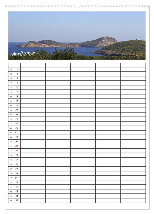 Ibiza / Familienplaner (CALVENDO Wandkalender 2025)