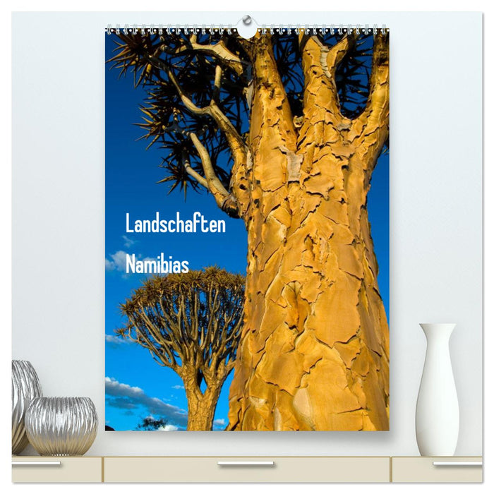 Landschaften Namibias (CALVENDO Premium Wandkalender 2025)