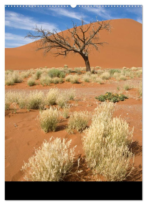 Landschaften Namibias (CALVENDO Premium Wandkalender 2025)