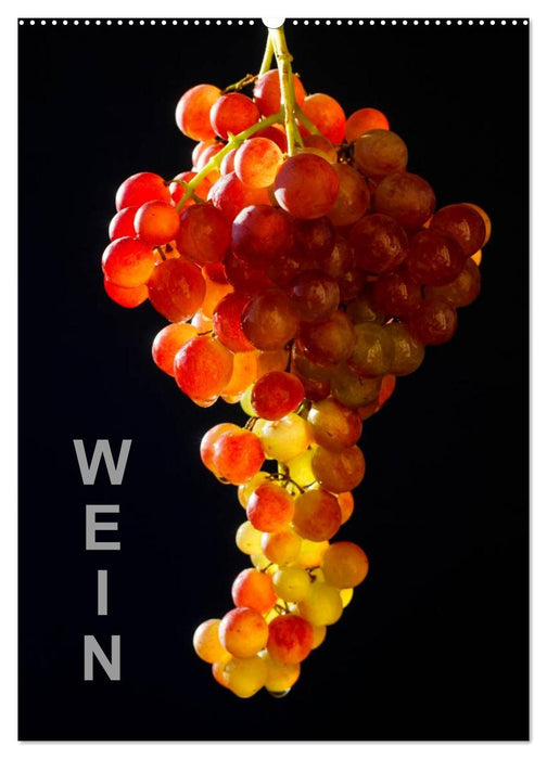 Wein (CALVENDO Wandkalender 2025)
