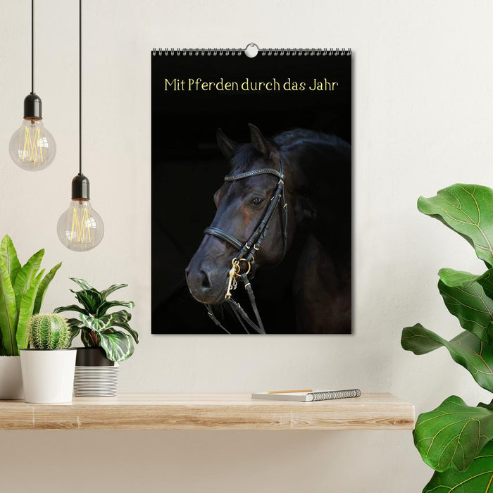 Mit Pferden durch das Jahr (CALVENDO Wandkalender 2025)