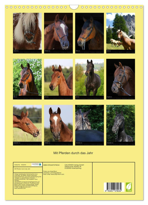 Mit Pferden durch das Jahr (CALVENDO Wandkalender 2025)