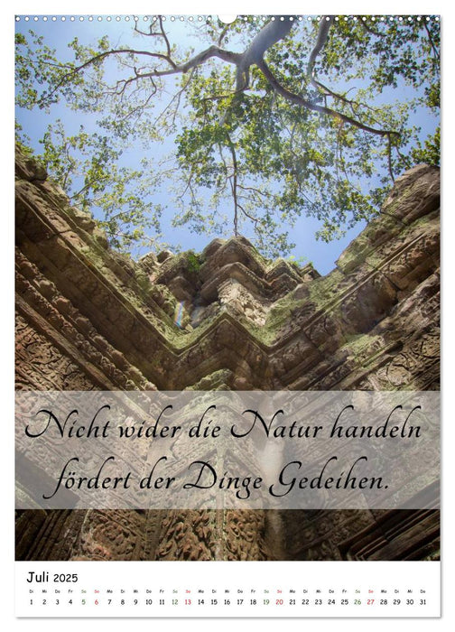 Buddhas Weisheiten (CALVENDO Premium Wandkalender 2025)