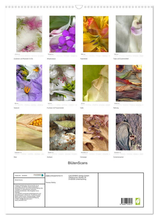 BlütenScans (CALVENDO Wandkalender 2025)