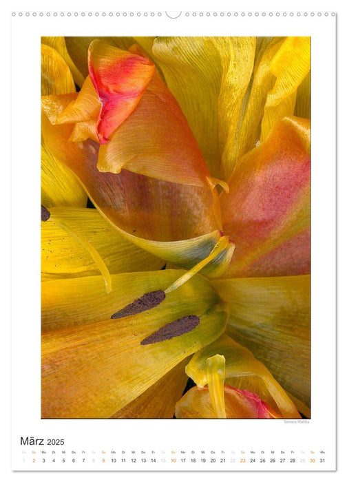 BlütenScans (CALVENDO Wandkalender 2025)