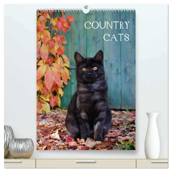 COUNTRY CATS (CALVENDO Premium Wandkalender 2025)