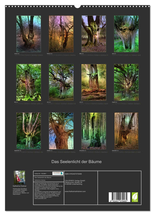 Das Seelenlicht der Bäume (CALVENDO Premium Wandkalender 2025)