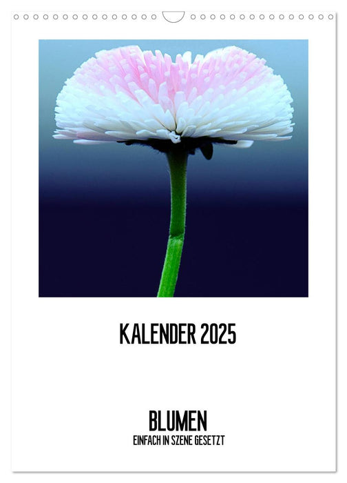 BLUMEN EINFACH IN SZENE GESETZT (CALVENDO Wandkalender 2025)