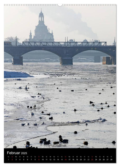 Frauenkirche Dresden (CALVENDO Wandkalender 2025)