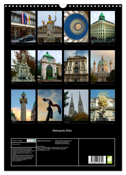 Metropole Wien (CALVENDO Wandkalender 2025)