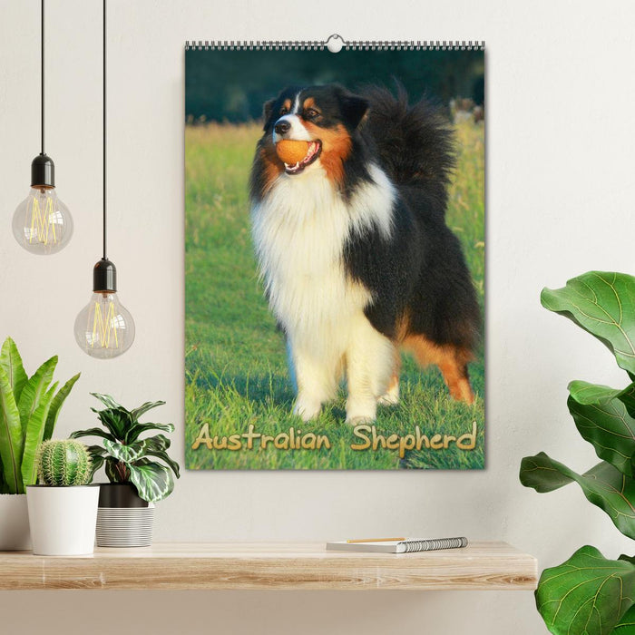 Australian Shepherd (CALVENDO Wandkalender 2025)