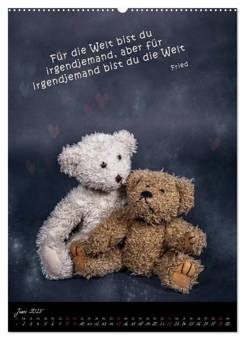 Die Liebe und Das Herz (CALVENDO Premium Wandkalender 2025)