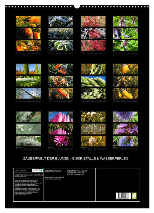 ZAUBERWELT DER BLUMEN - EISKRISTALLE & WASSERPERLEN (CALVENDO Wandkalender 2025)